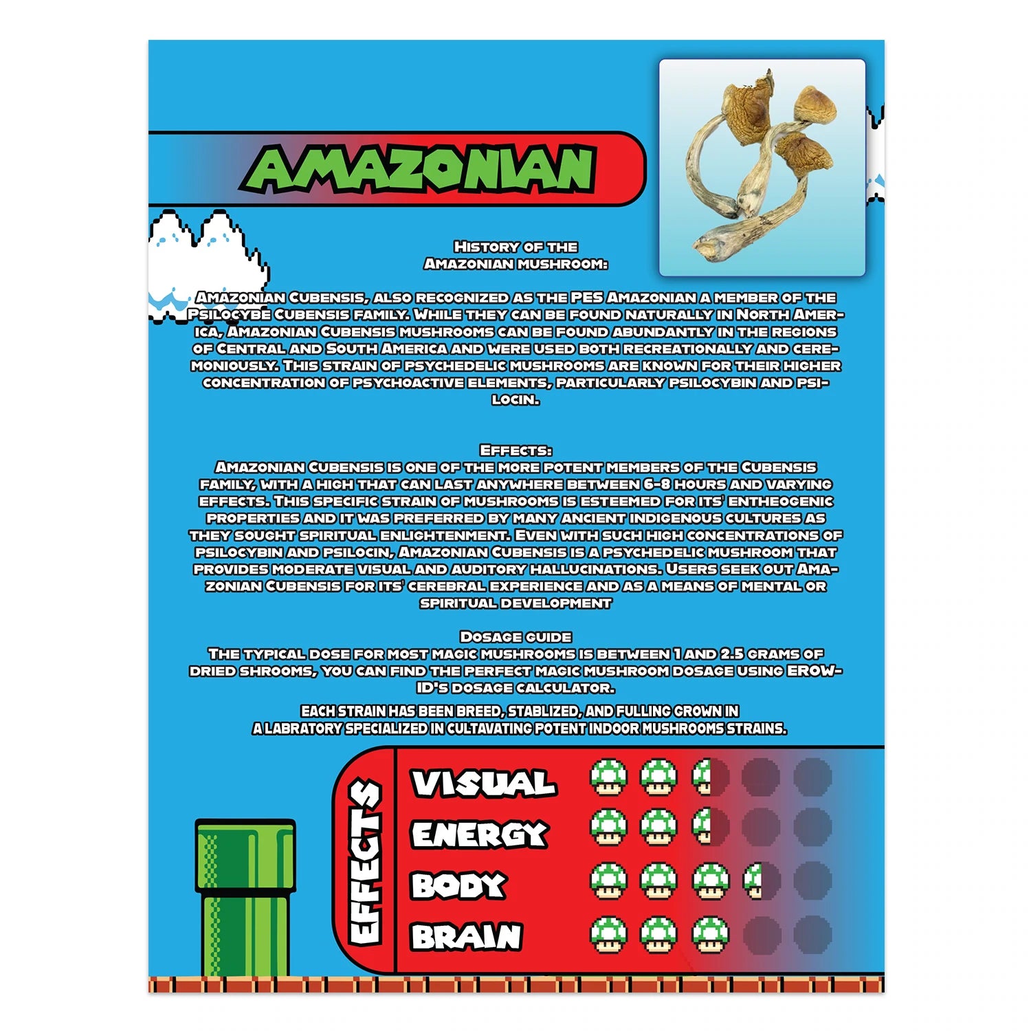 One Up Amazonian Mushrooms QR Code Clear Preprinted Strain Sticker (5/8" Square)